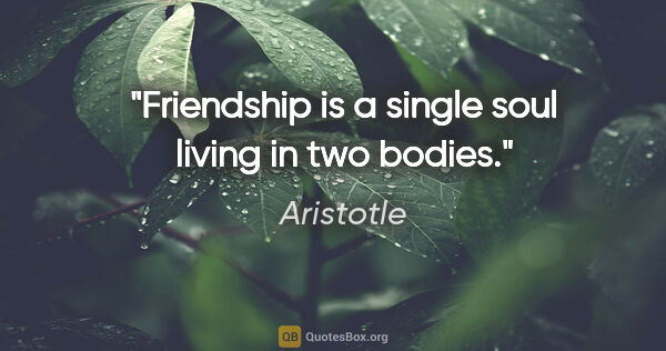 Aristotle quote: "Friendship is a single soul living in two bodies."