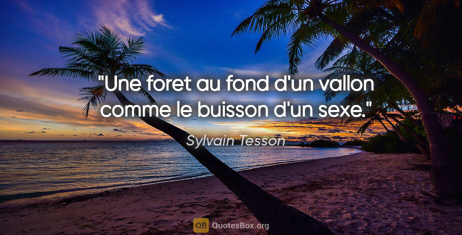 Sylvain Tesson citation: "Une foret au fond d'un vallon comme le buisson d'un sexe."