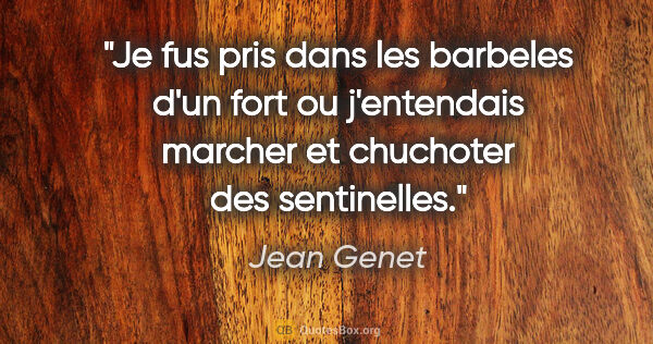 Jean Genet citation: "Je fus pris dans les barbeles d'un fort ou j'entendais marcher..."