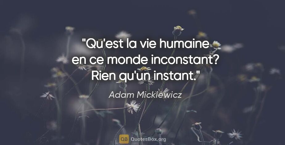 Adam Mickiewicz citation: "Qu'est la vie humaine en ce monde inconstant? Rien qu'un instant."