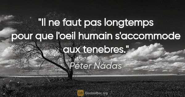 Péter Nádas citation: "Il ne faut pas longtemps pour que l'oeil humain s'accommode..."