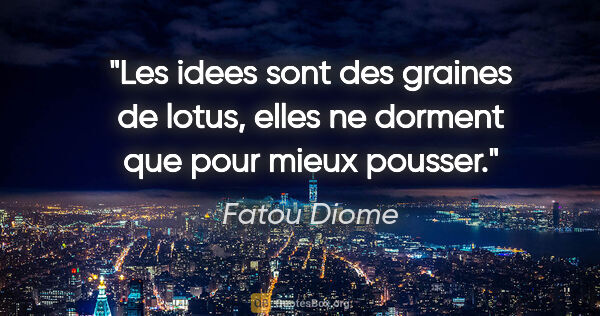 Fatou Diome citation: "Les idees sont des graines de lotus, elles ne dorment que pour..."