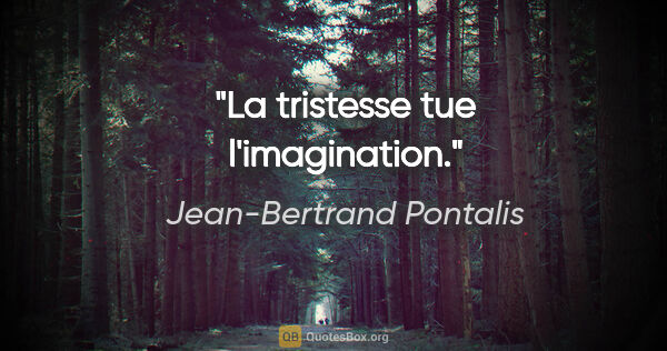 Jean-Bertrand Pontalis citation: "La tristesse tue l'imagination."