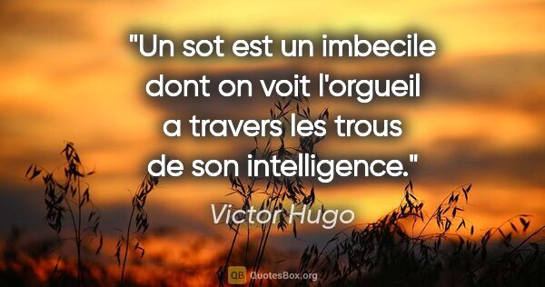 Victor Hugo citation: "Un sot est un imbecile dont on voit l'orgueil a travers les..."