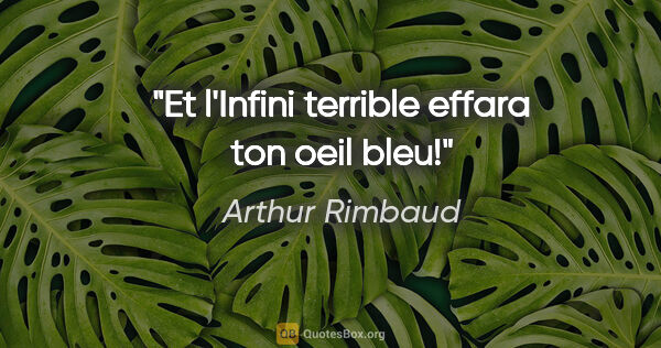 Arthur Rimbaud citation: "Et l'Infini terrible effara ton oeil bleu!"