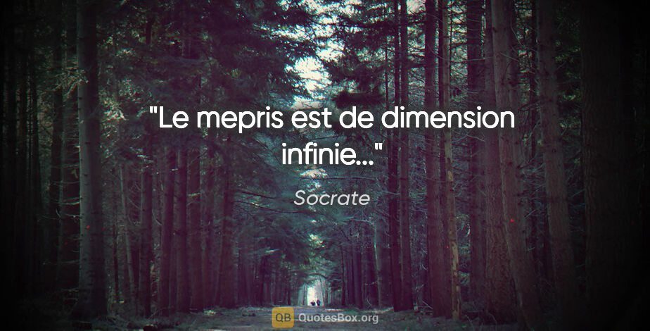 Socrate citation: "Le mepris est de dimension infinie..."