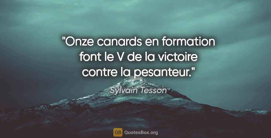 Sylvain Tesson citation: "Onze canards en formation font le V de la victoire contre la..."