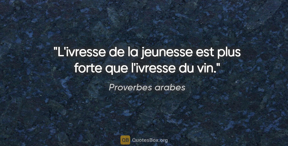 Proverbes arabes citation: "L'ivresse de la jeunesse est plus forte que l'ivresse du vin."