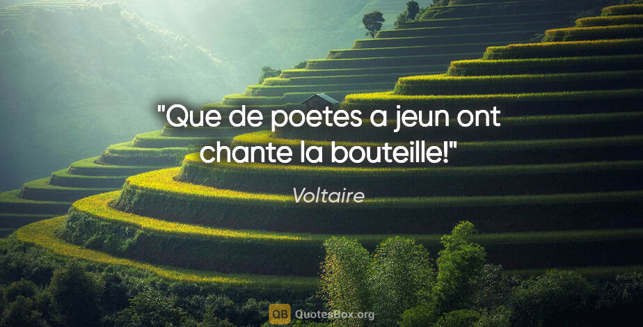 Voltaire citation: "Que de poetes a jeun ont chante la bouteille!"