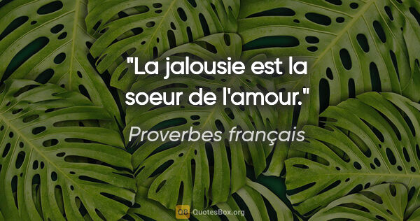 Proverbes français citation: "La jalousie est la soeur de l'amour."