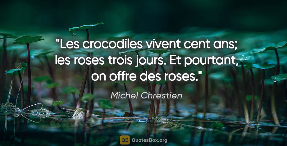 Michel Chrestien citation: "Les crocodiles vivent cent ans; les roses trois jours. Et..."
