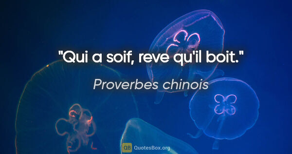 Proverbes chinois citation: "Qui a soif, reve qu'il boit."