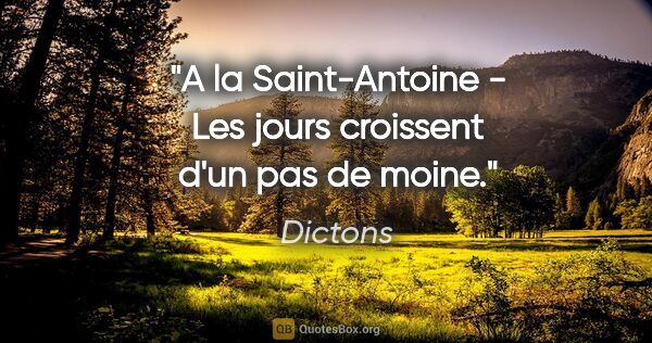 Dictons citation: "A la Saint-Antoine - Les jours croissent d'un pas de moine."