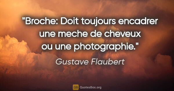Gustave Flaubert citation: "Broche: Doit toujours encadrer une meche de cheveux ou une..."