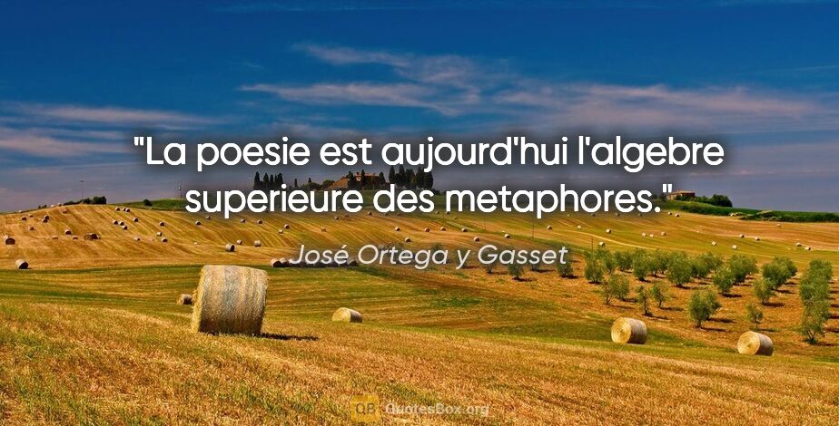 José Ortega y Gasset citation: "La poesie est aujourd'hui l'algebre superieure des metaphores."