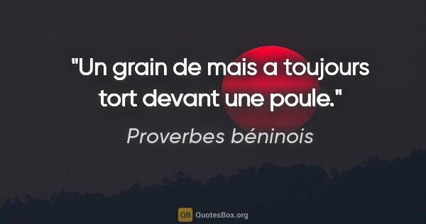 Proverbes béninois citation: "Un grain de mais a toujours tort devant une poule."