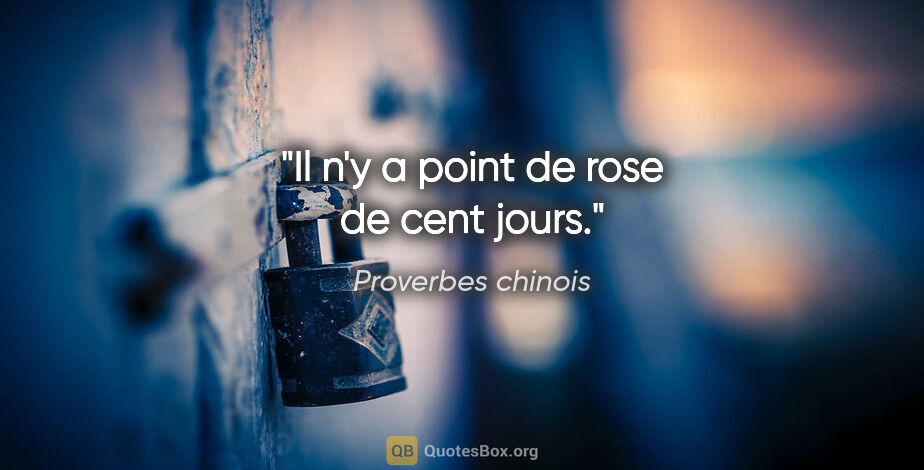 Proverbes chinois citation: "Il n'y a point de rose de cent jours."