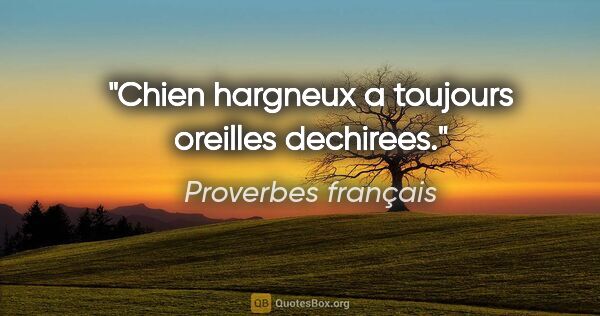 Proverbes français citation: "Chien hargneux a toujours oreilles dechirees."