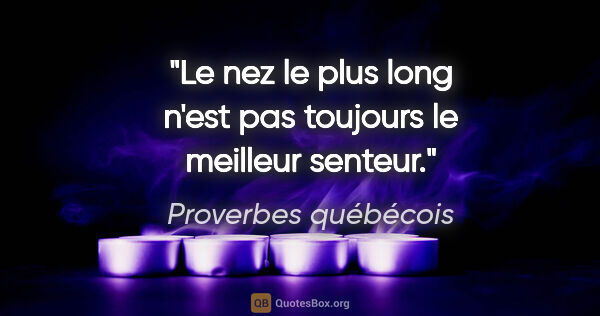 Proverbes québécois citation: "Le nez le plus long n'est pas toujours le meilleur senteur."
