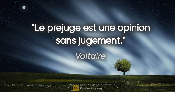 Voltaire citation: "Le prejuge est une opinion sans jugement."
