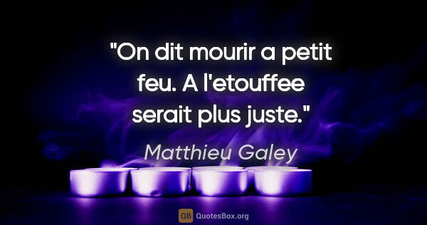 Matthieu Galey citation: "On dit «mourir a petit feu». «A l'etouffee» serait plus juste."