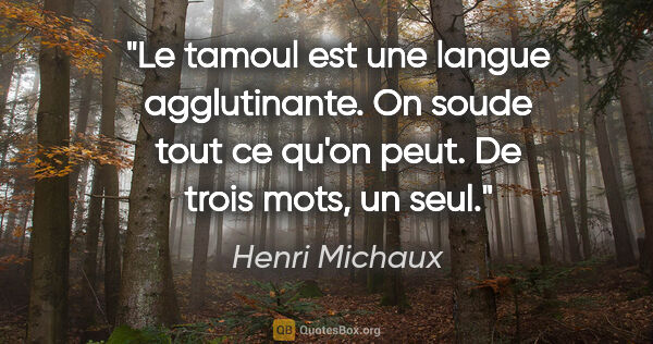 Henri Michaux citation: "Le tamoul est une langue agglutinante. On soude tout ce qu'on..."