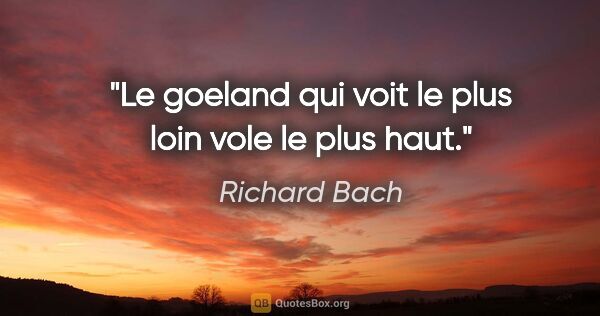 Richard Bach citation: "Le goeland qui voit le plus loin vole le plus haut."