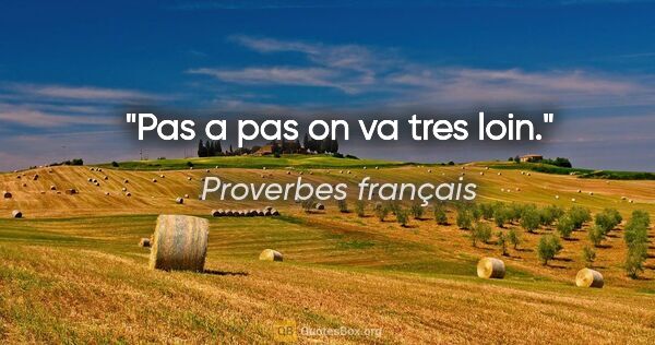 Proverbes français citation: "Pas a pas on va tres loin."