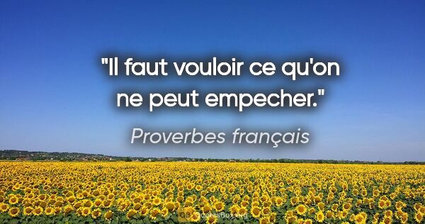 Proverbes français citation: "Il faut vouloir ce qu'on ne peut empecher."