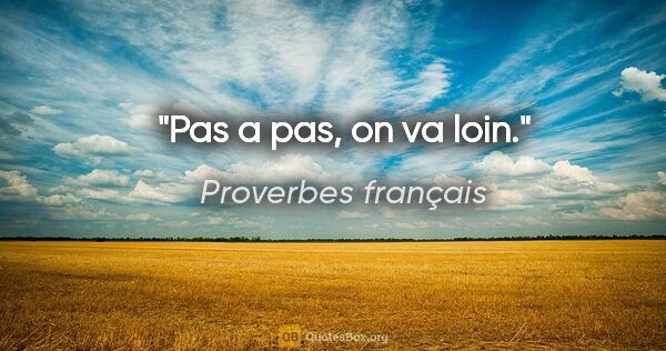 Proverbes français citation: "Pas a pas, on va loin."