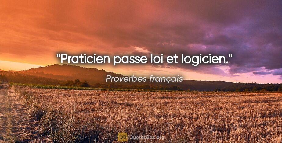 Proverbes français citation: "Praticien passe loi et logicien."