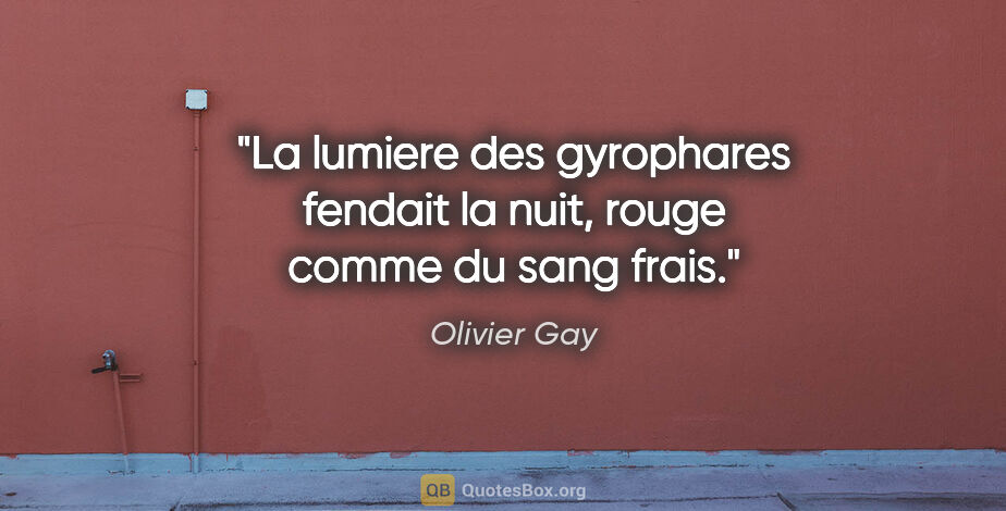 Olivier Gay citation: "La lumiere des gyrophares fendait la nuit, rouge comme du sang..."