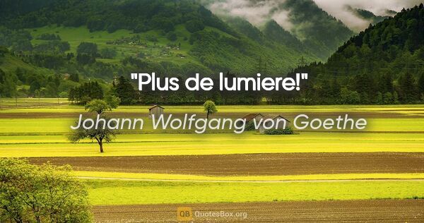 Johann Wolfgang von Goethe citation: "Plus de lumiere!"