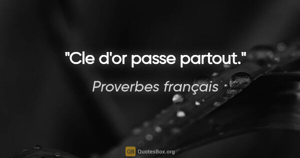 Proverbes français citation: "Cle d'or passe partout."