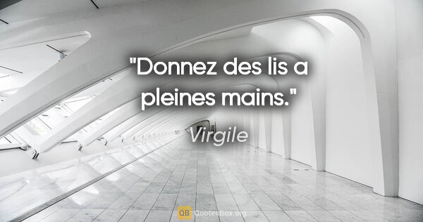 Virgile citation: "Donnez des lis a pleines mains."