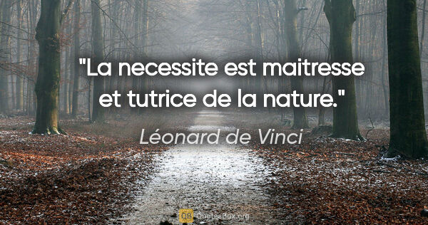 Léonard de Vinci citation: "La necessite est maitresse et tutrice de la nature."