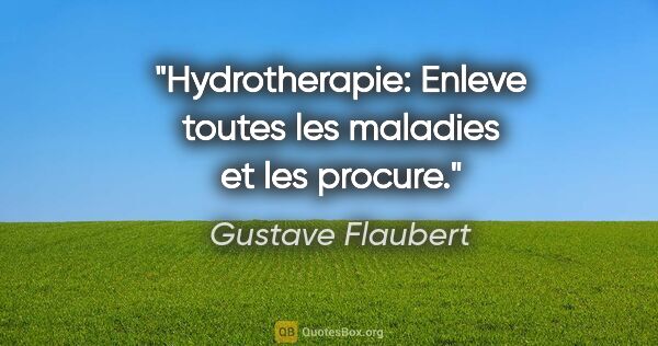 Gustave Flaubert citation: "Hydrotherapie: Enleve toutes les maladies et les procure."