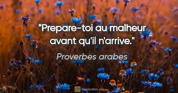 Proverbes arabes citation: "Prepare-toi au malheur avant qu'il n'arrive."