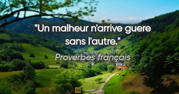 Proverbes français citation: "Un malheur n'arrive guere sans l'autre."