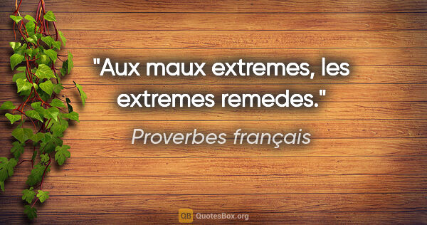 Proverbes français citation: "Aux maux extremes, les extremes remedes."