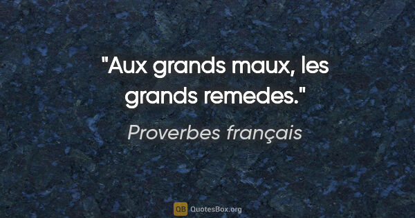 Proverbes français citation: "Aux grands maux, les grands remedes."