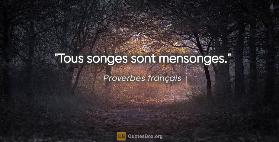 Proverbes français citation: "Tous songes sont mensonges."