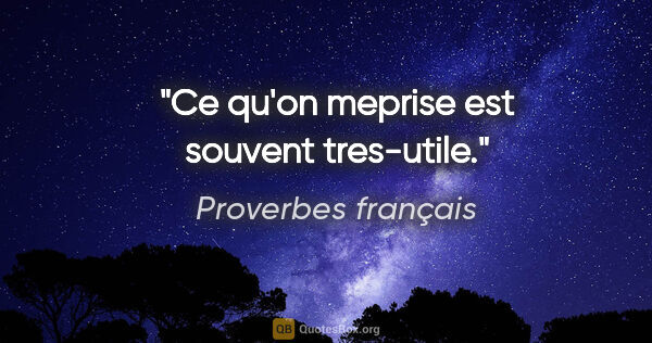 Proverbes français citation: "Ce qu'on meprise est souvent tres-utile."