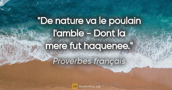Proverbes français citation: "De nature va le poulain l'amble - Dont la mere fut haquenee."