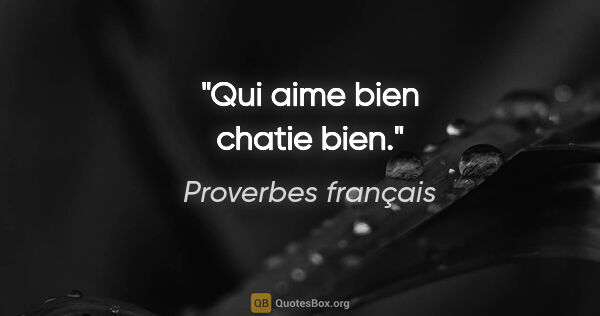 Proverbes français citation: "Qui aime bien chatie bien."