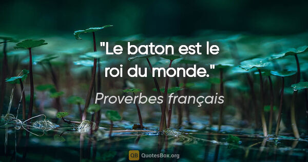 Proverbes français citation: "Le baton est le roi du monde."