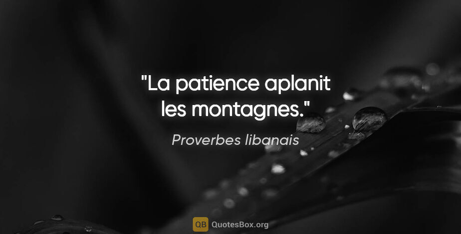Proverbes libanais citation: "La patience aplanit les montagnes."