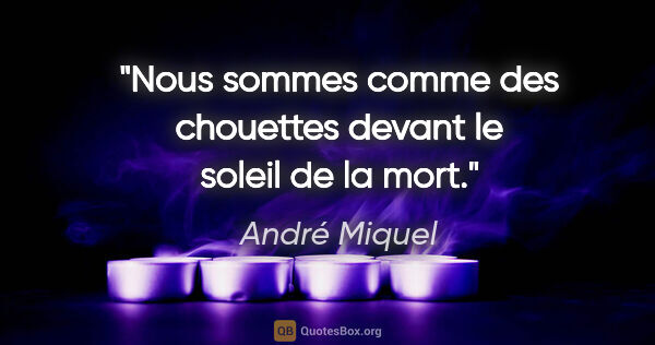 André Miquel citation: "Nous sommes comme des chouettes devant le soleil de la mort."