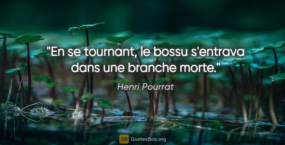 Henri Pourrat citation: "En se tournant, le bossu s'entrava dans une branche morte."