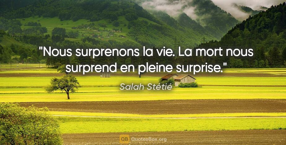 Salah Stétié citation: "Nous surprenons la vie. La mort nous surprend en pleine surprise."